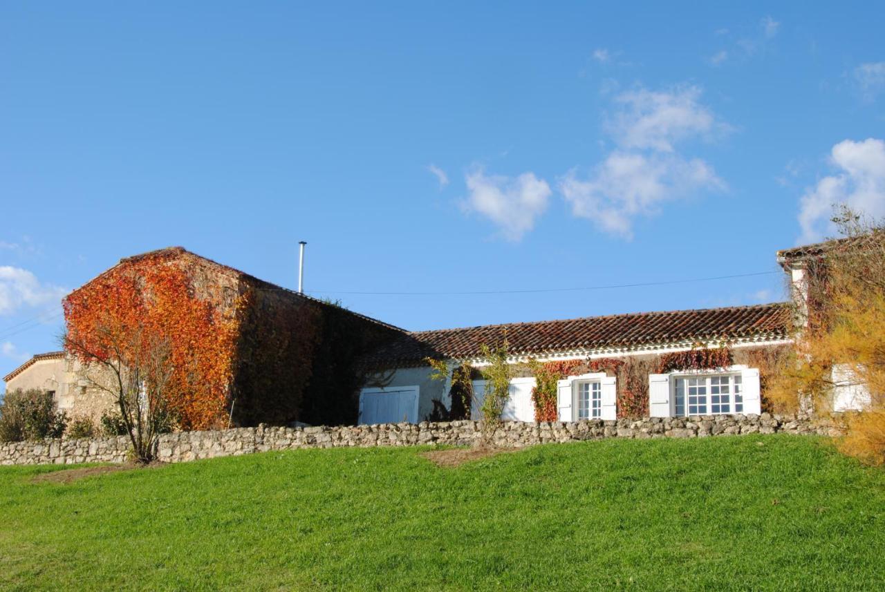 Le Chateau De Roquebere Condom Exteriér fotografie
