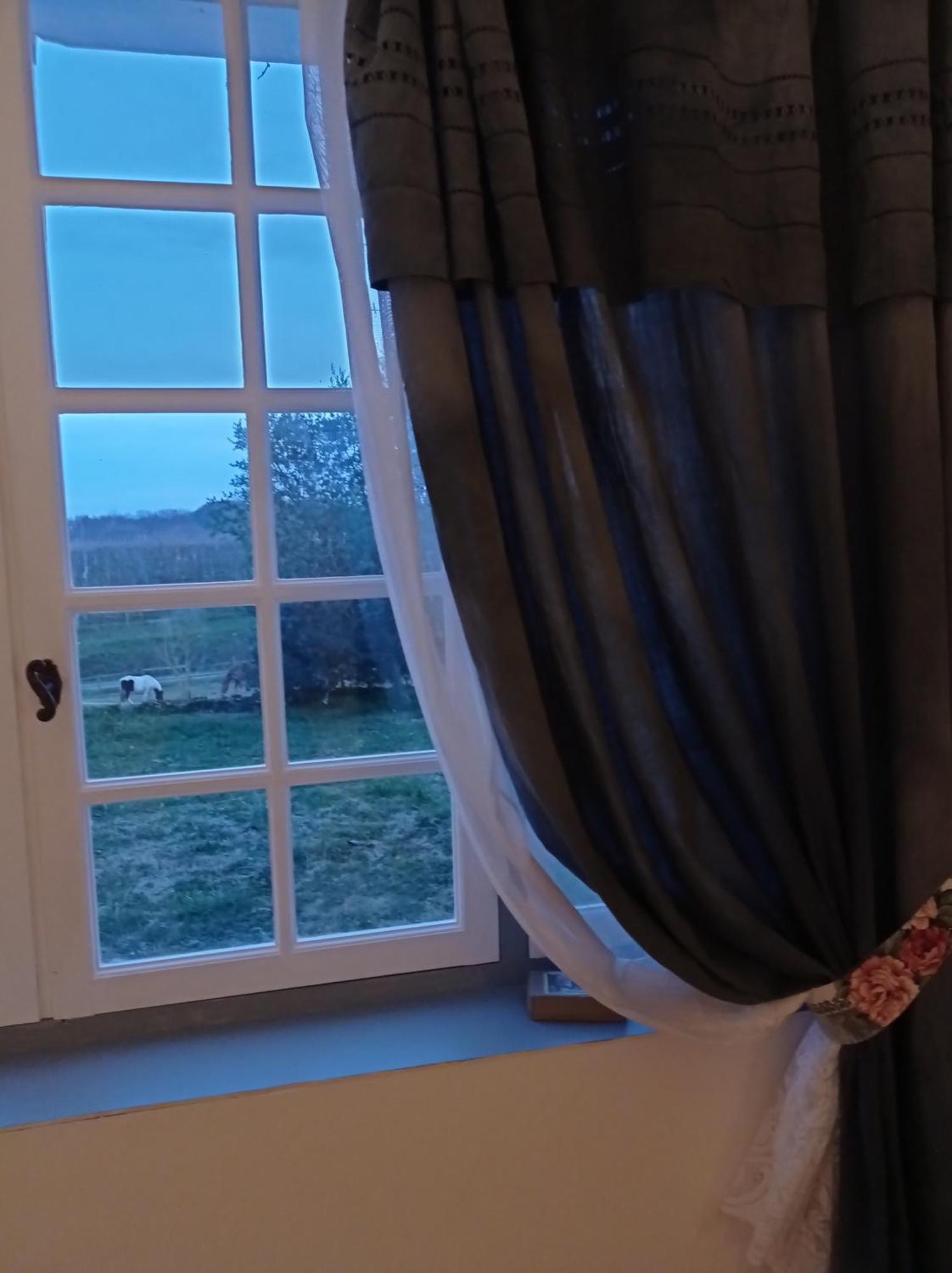 Le Chateau De Roquebere Condom Exteriér fotografie